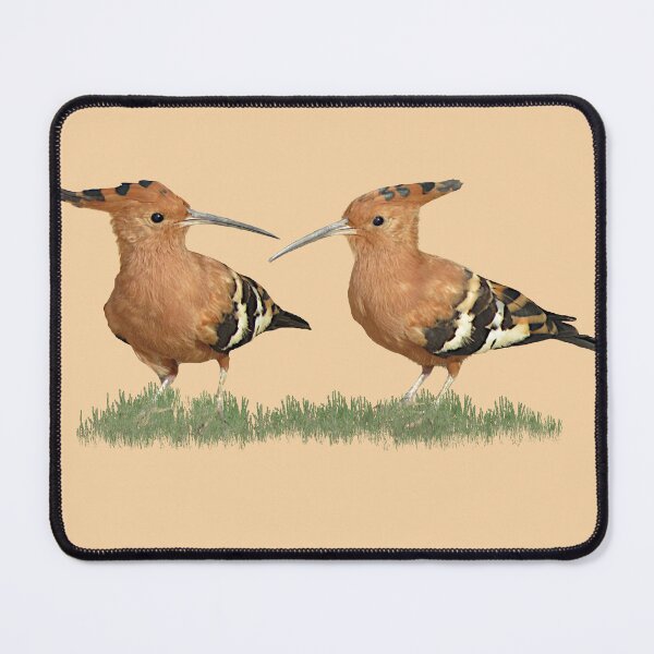 Item preview, Hoopoe - Birds of Kenya / Africa designed and sold by TShirtsundMehr.