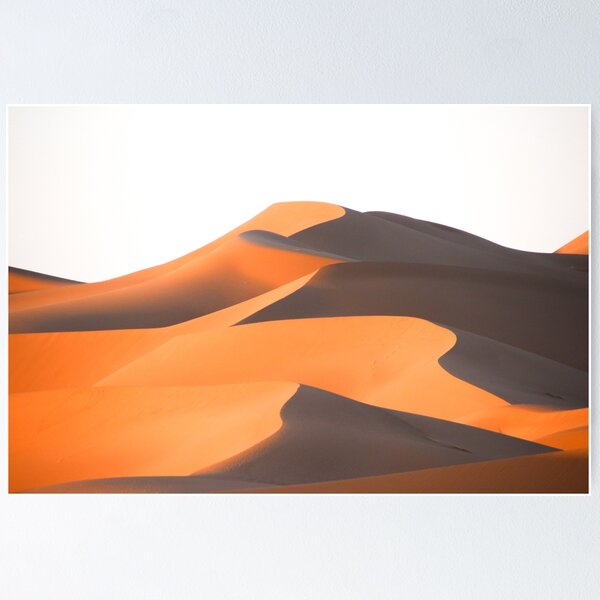 Curvy sand dune in the Sahara, Morocco Poster