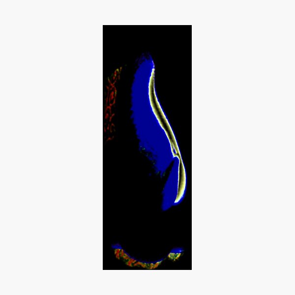 nobody home Photographic Print