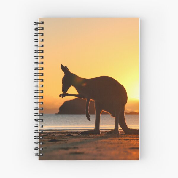 Item preview, Kangaroo grooming at the beach, Australia designed and sold by bookofwandering.