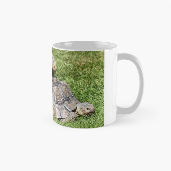 Item preview, African spurred tortoise (Centrochelys sulcata) designed and sold by Andy Harker.