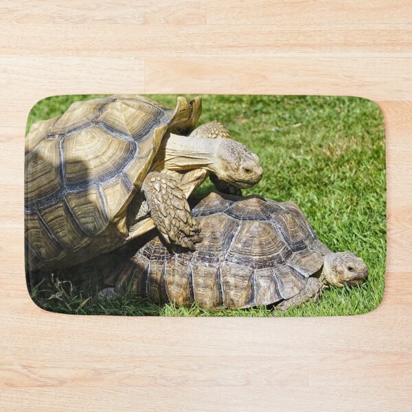 Item preview, African spurred tortoise (Centrochelys sulcata) designed and sold by Andy Harker.