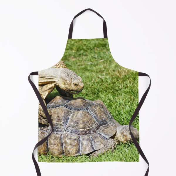 Item preview, African spurred tortoise (Centrochelys sulcata) designed and sold by Andy Harker.
