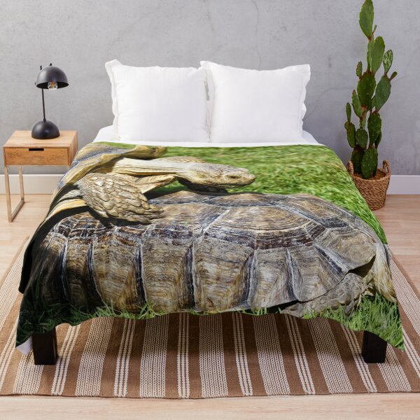 Item preview, African spurred tortoise (Centrochelys sulcata) designed and sold by Andy Harker.