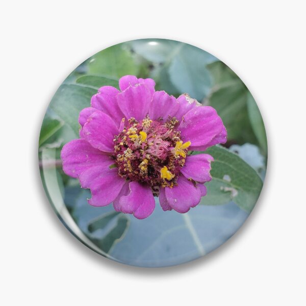 Item preview, Utah Wildflowers designed and sold by Willyboy16.