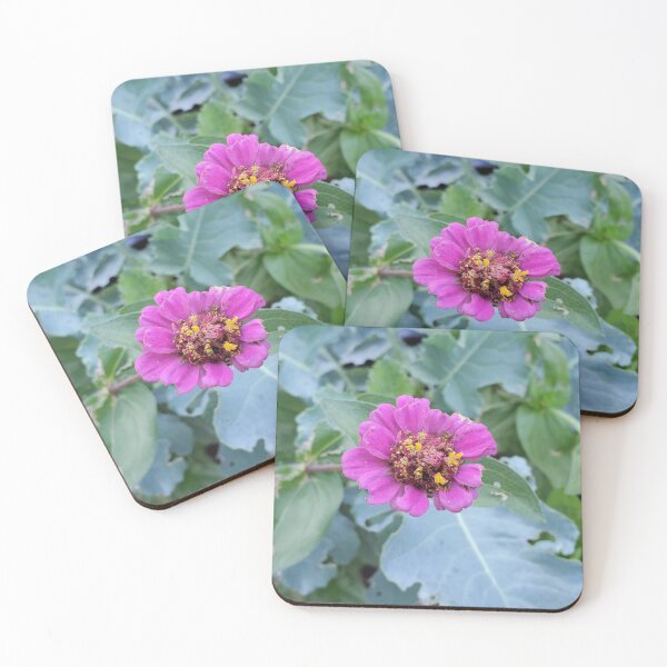 Item preview, Utah Wildflowers designed and sold by Willyboy16.