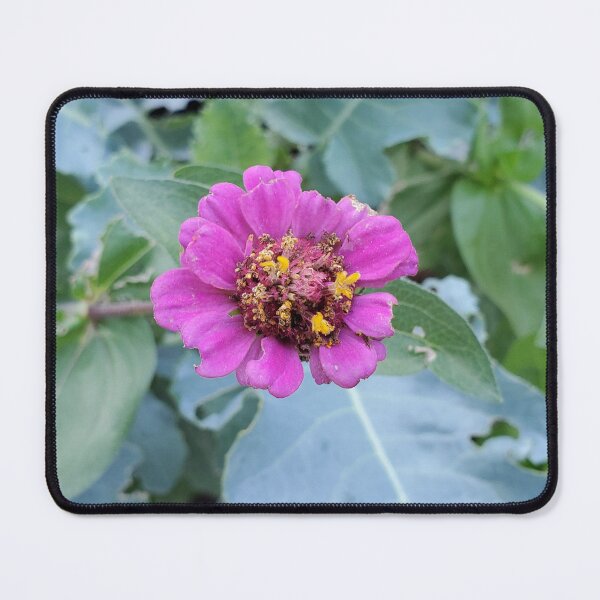 Item preview, Utah Wildflowers designed and sold by Willyboy16.