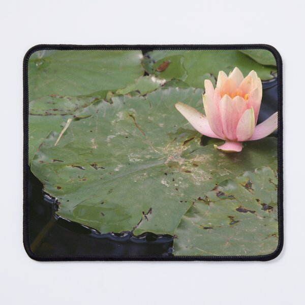 Item preview, Waterlily designed and sold by Leanne Davis.