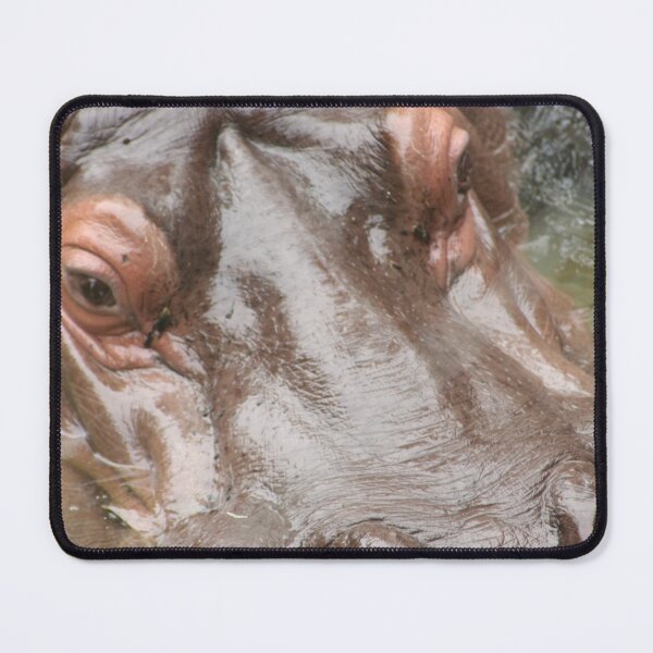 Item preview, Happy Hippo designed and sold by Leanne Davis.