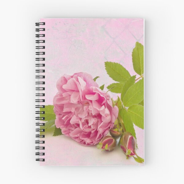 Item preview, Hansa Rose And Buds  designed and sold by Sandra Foster.