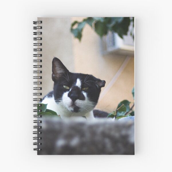Item preview, leftie designed and sold by tnoar.