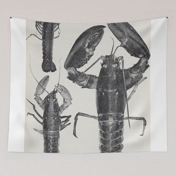 Item preview, Vintage Lobster Photograph (1911) designed and sold by BravuraMedia.