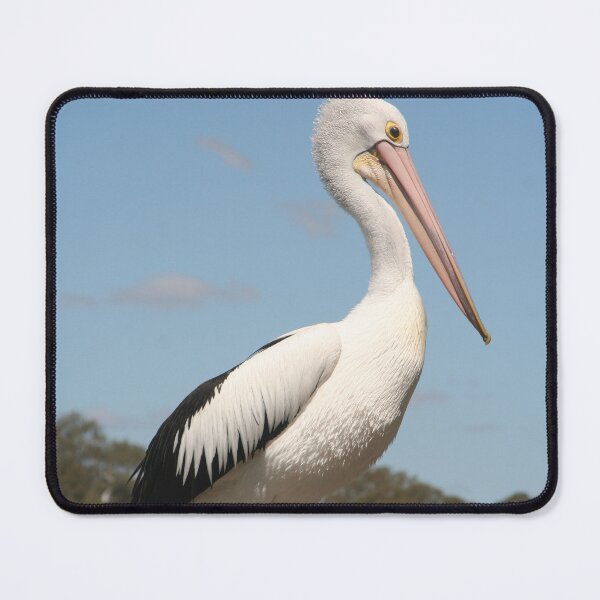Item preview, Portrait of a Pelican designed and sold by Leanne Davis.