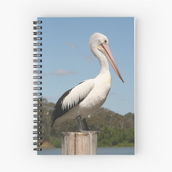 Item preview, Portrait of a Pelican designed and sold by Leanne Davis.