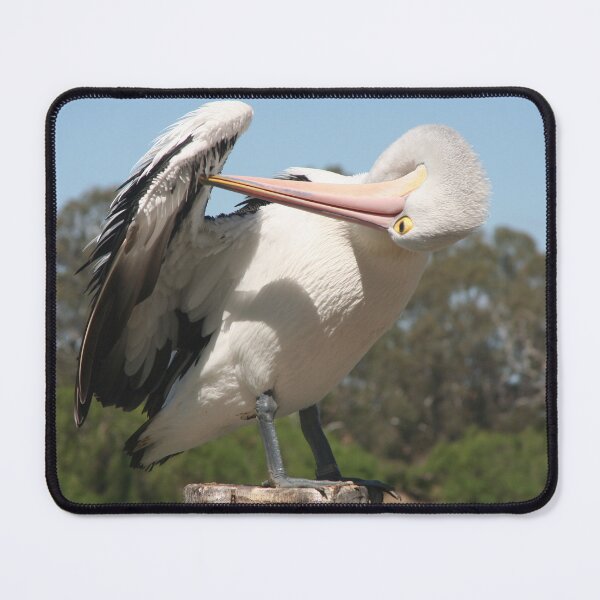Item preview, Preening Time designed and sold by Leanne Davis.