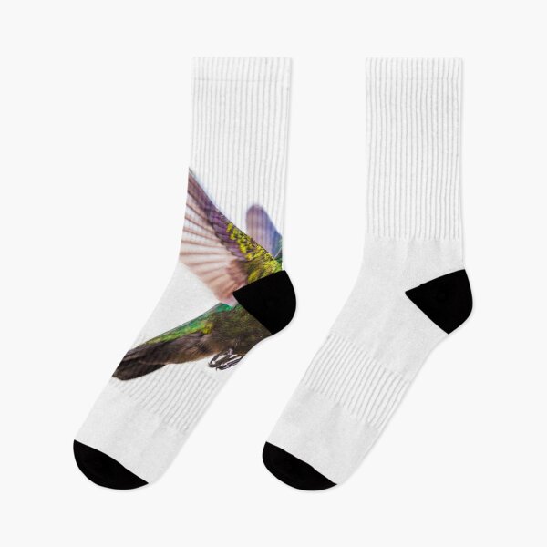 Item preview, Antillean crested hummingbird designed and sold by Graham Prentice.