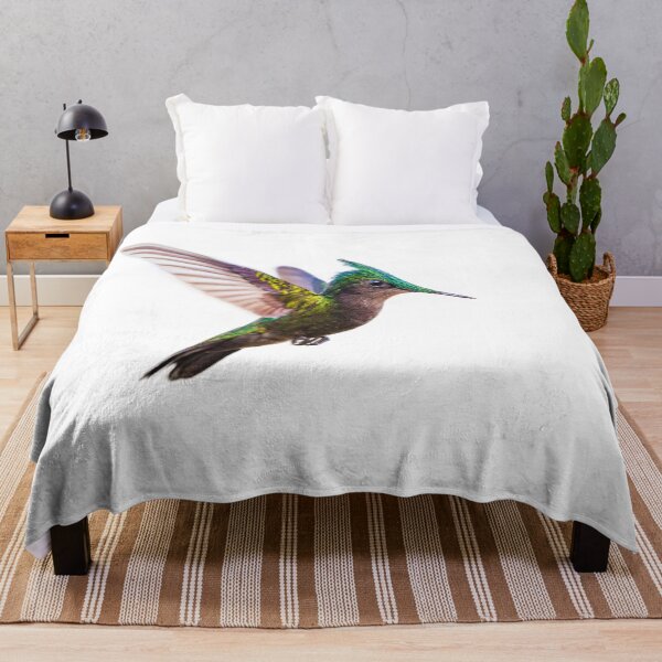 Item preview, Antillean crested hummingbird designed and sold by Graham Prentice.