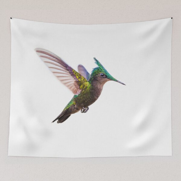 Item preview, Antillean crested hummingbird designed and sold by Graham Prentice.