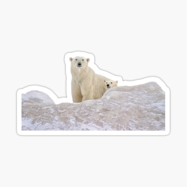 Mom's Not Alone Sticker