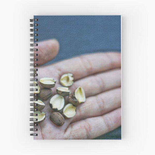 Item preview, dried beans thai food designed and sold by March Rider.
