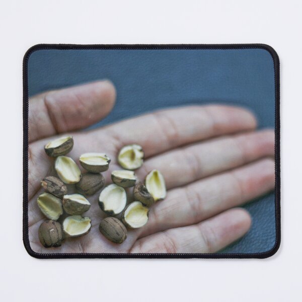 Item preview, dried beans thai food designed and sold by March Rider.