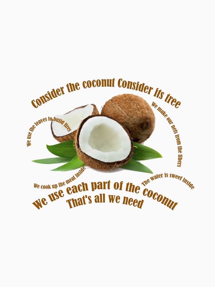 lime in the coconut t shirt