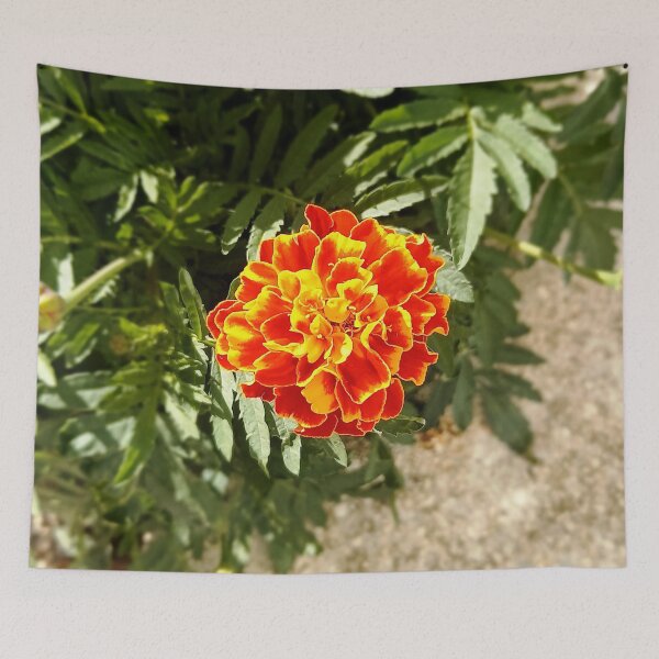 Item preview, A beautiful flower. designed and sold by AbaTiro.