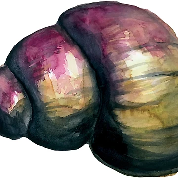Artwork thumbnail, Pretty Watercolor Shell by InkLayer