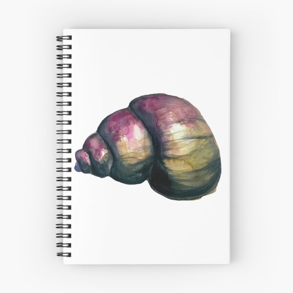 Artikelvorschau, Hübsche Aquarell-Muschel entworfen und verkauft von InkLayer.