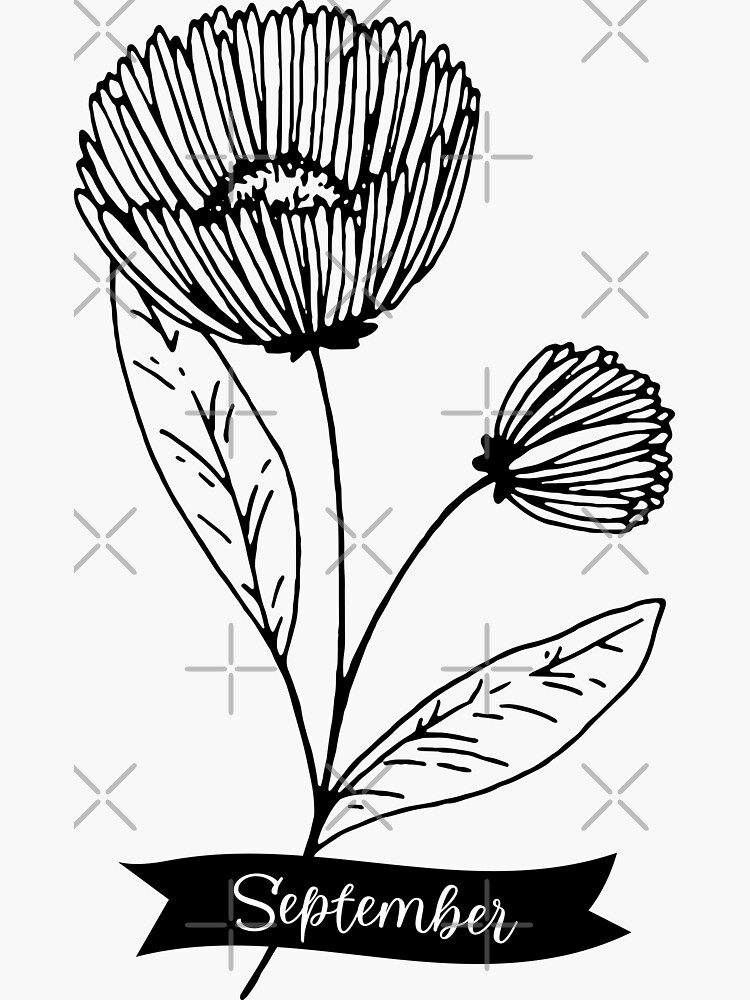 " Happy Birthday September Birth Flower" Sticker for Sale by