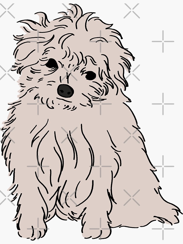 "Bolognese Dog" Sticker for Sale by Nevermindartss Redbubble