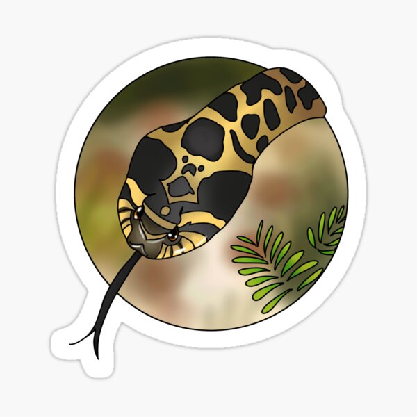 Item preview, Eastern Hognose Heterodon platirhinos designed and sold by Lily Hamilton.