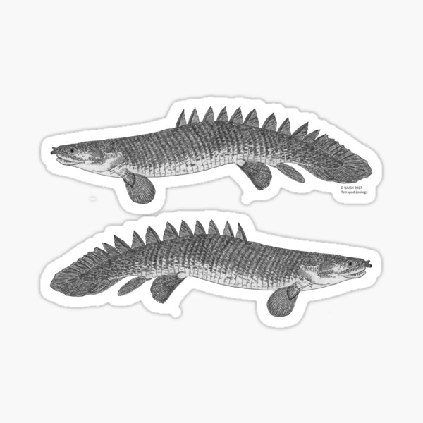 Item preview, A bichir designed and sold by TetZoo.