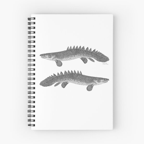 Item preview, A bichir designed and sold by TetZoo.