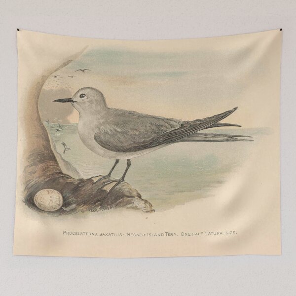 Item preview, Vintage Seagull Illustration (1906) designed and sold by BravuraMedia.