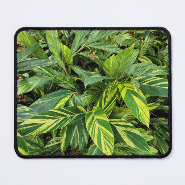 Item preview, Lush Plants designed and sold by Sharonmobile.
