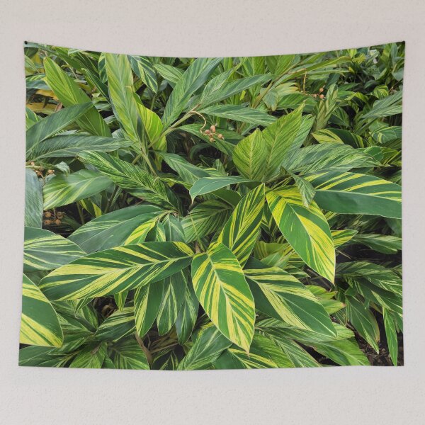 Item preview, Lush Plants designed and sold by Sharonmobile.