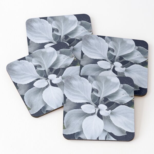 Item preview, Beautiful Home Gardening Plants designed and sold by xxUniverse777.