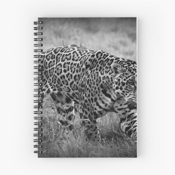 Item preview, Prowling Jaguar designed and sold by Alan Ralph.
