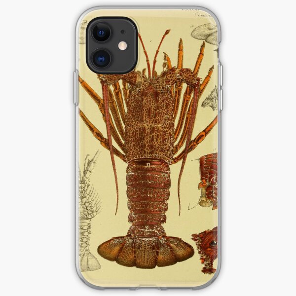 Vintage Lobster Anatomy Diagram (1890) iPhone Soft Case