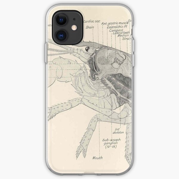 Vintage Lobster Anatomy Diagram (1911) iPhone Soft Case