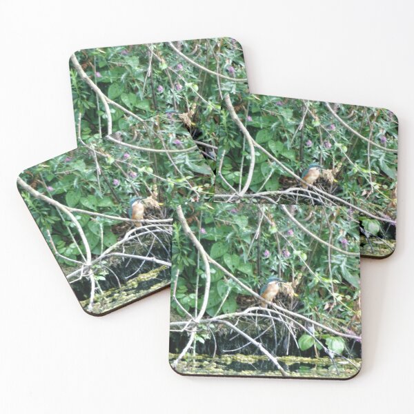 Item preview, kingfisher5 designed and sold by brucemlong.