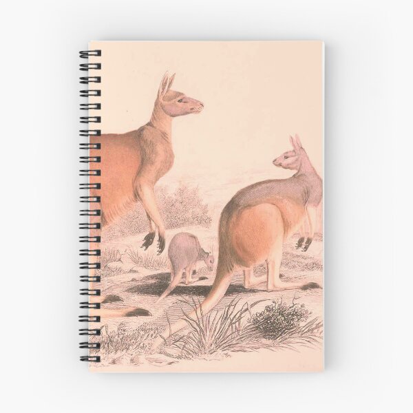 Item preview, Vintage Kangaroo Family Illustration (1849) designed and sold by BravuraMedia.