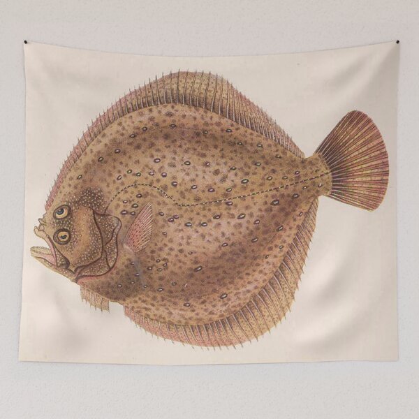 Item preview, Vintage Flounder Fish Illustration (1919) designed and sold by BravuraMedia.