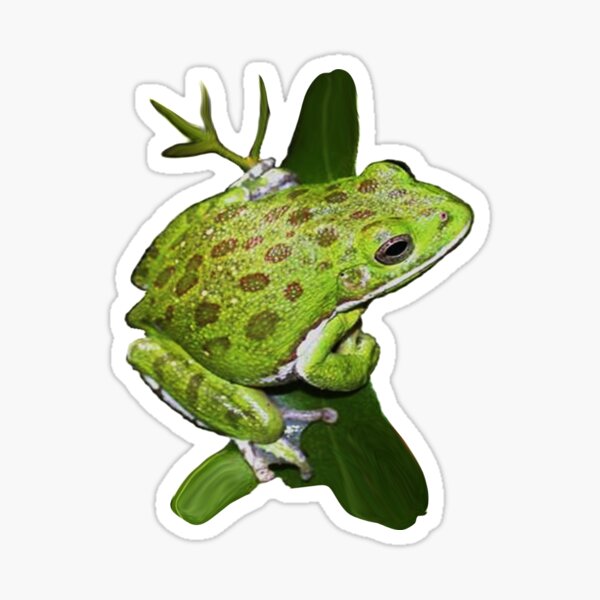 Item preview, Amphibian Bliss designed and sold by NINUNO.
