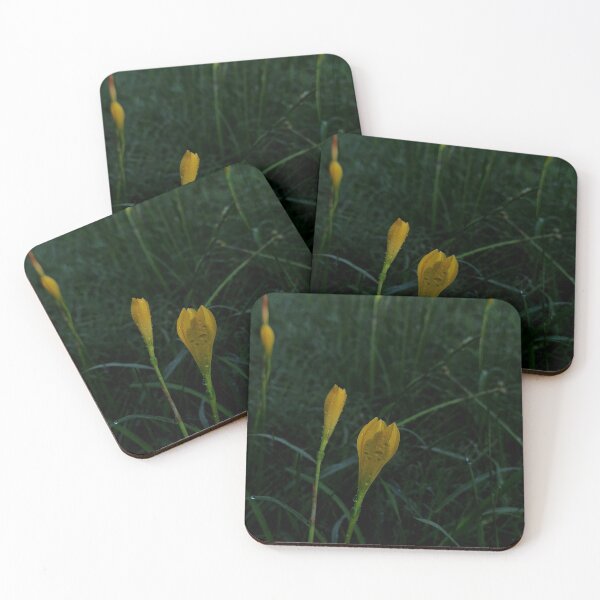 Item preview, rain lily designed and sold by khaanju.