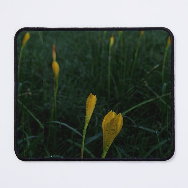 Item preview, rain lily designed and sold by khaanju.