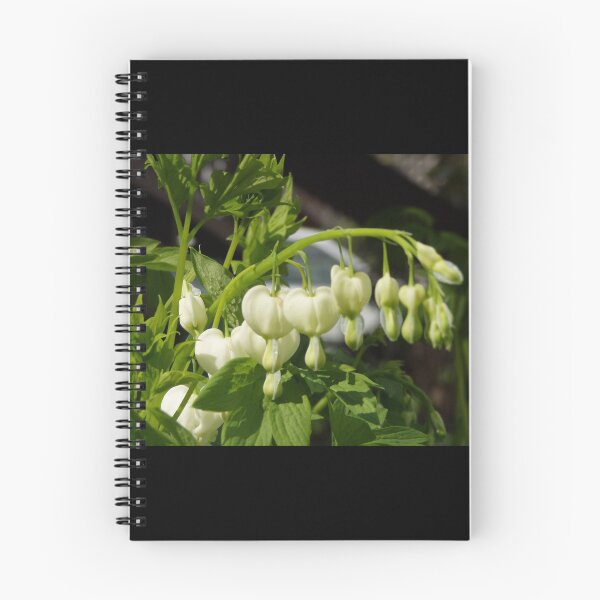 Item preview, white bleeding hearts #3 designed and sold by Dawna Morton.