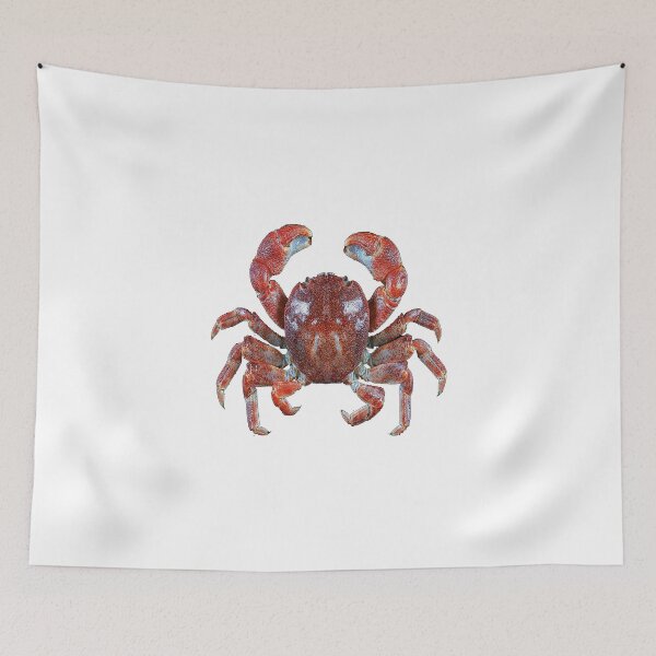 Item preview, The Strong Claws  designed and sold by NINUNO.