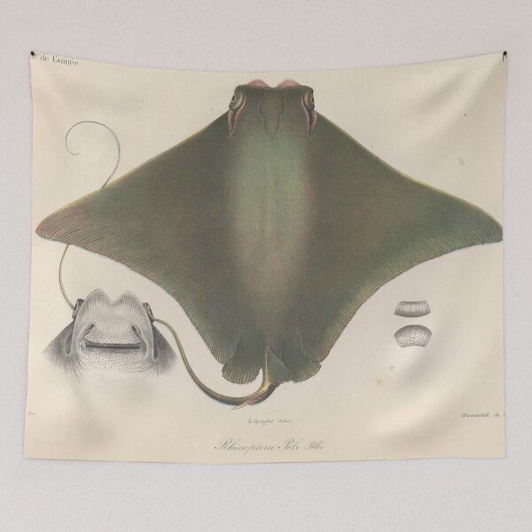 Item preview, Vintage Stingray Illustration (1863) designed and sold by BravuraMedia.